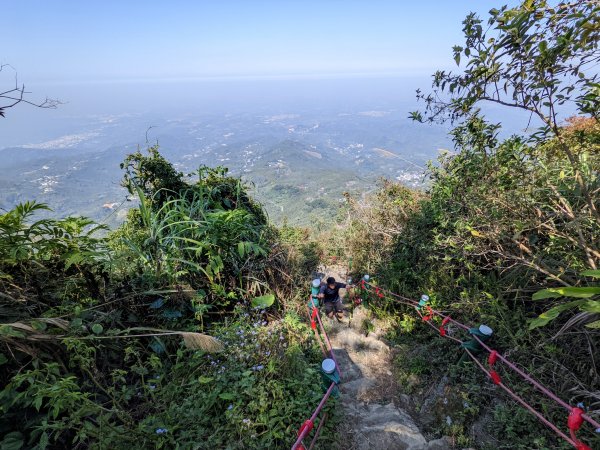 雲嘉大尖山1638359