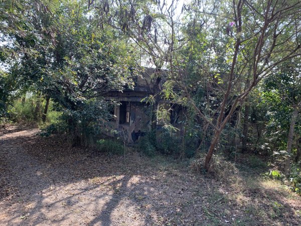 20250128高雄漯底山-北峰-西北峰2705217