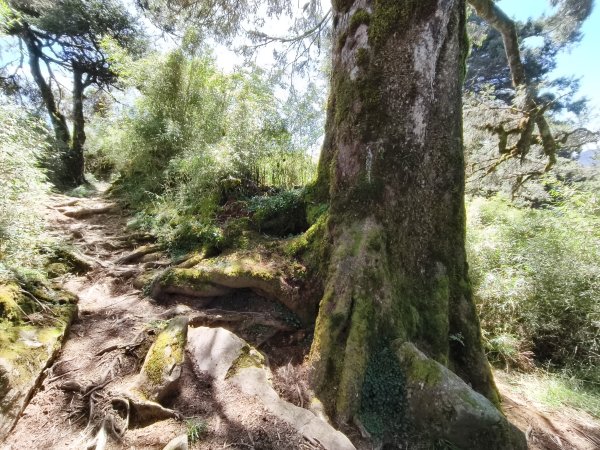 北一段(03/14)多加屯山 2025_0906~132885266