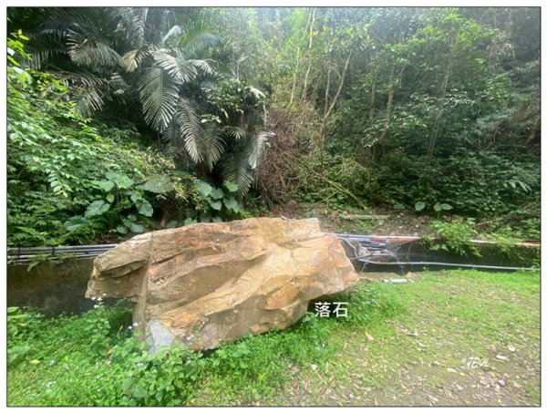 冷埤、粗坑山、血藤之旅3020357