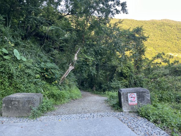[玉山尋寶任務-03/12] 2025_0810 瓦拉米步道2857352