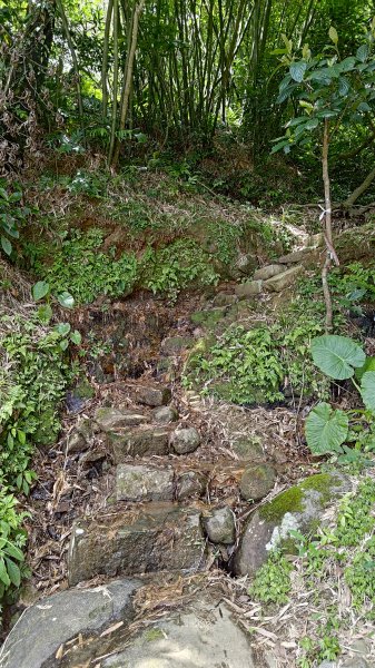 楊廷理古道2814617