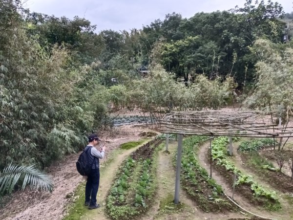 基隆市三層山+湳子大崙+淡基橫斷古道+面桶寮土地公2982288
