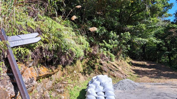 二格山登山步道草湳線2574070