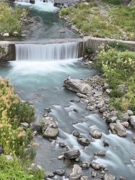 清泉 雪霸農場 野馬瞰山2925849