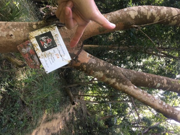 中興林場後山（鑰匙🔑認領2700414