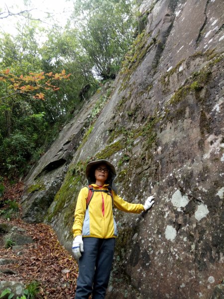 泰安水雲三星之橫龍山1909746