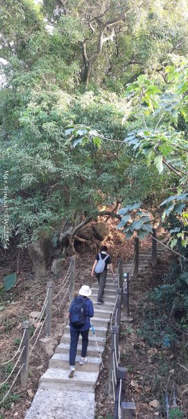 《台中》登山市集｜大坑9及9_1號步道上觀音亭202512202966556