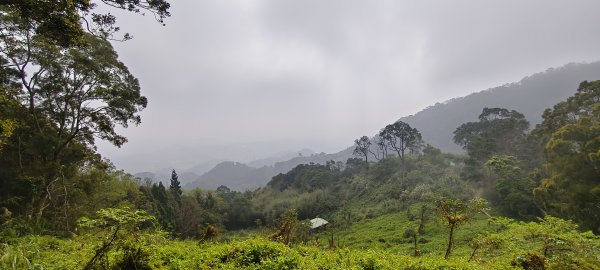 2024/12/14_關刀山步道O型2669317