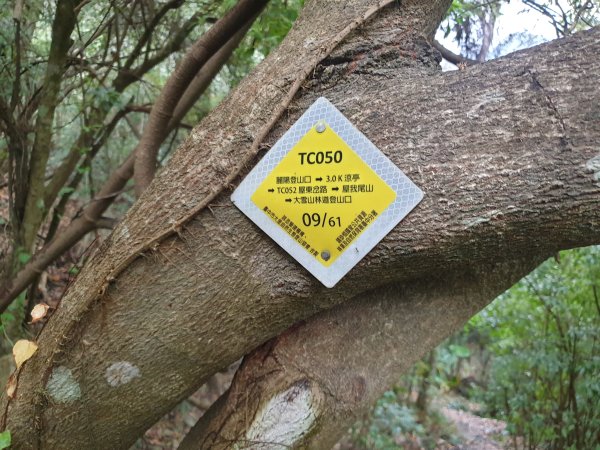 麗陽上屋我尾山2683111