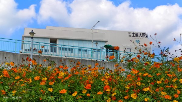 雲山水花鳥蝶-天龍國阿伯的日常 #翠鳥2641672