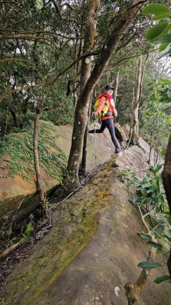 【苗栗郊山聖稜線】仙神象18連峰大縱走2675983