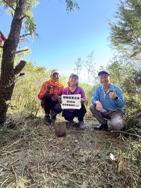 南投仁愛鄉基石巡禮-櫻櫻峰東北峰.清境山.岬山.關頭山北峰  2024.11.112651719