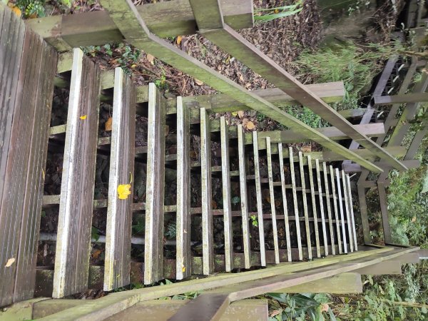 貴子坑報山步道2849840