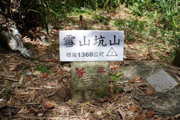 台中 和平 雪山坑山