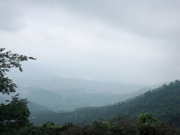 梅嶺風景區304529