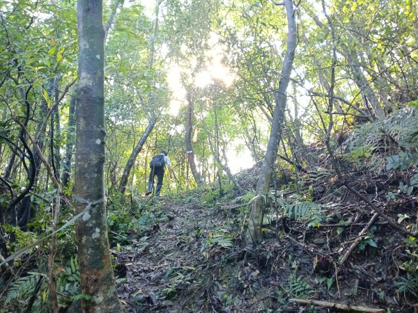 雙溪區雙坪一號橋+盤山坑山+土地公山+474峰+石硿子越嶺古道O型2936394