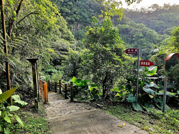 小百岳集起來-三角崙山2185365