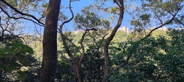 新寮休閒步道2949204