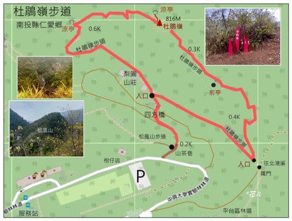 惠蓀林場 杜鵑嶺 O遶一圈3010262