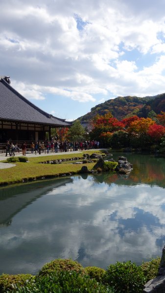 日本京都嵐山652022