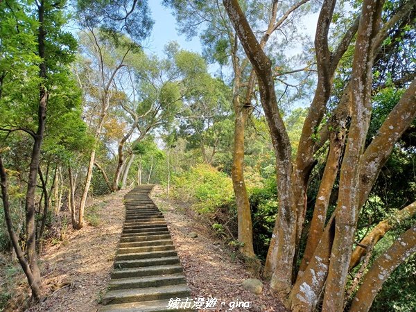 【彰化員林】綠樹林間散散步。 臥龍坡步道1691266