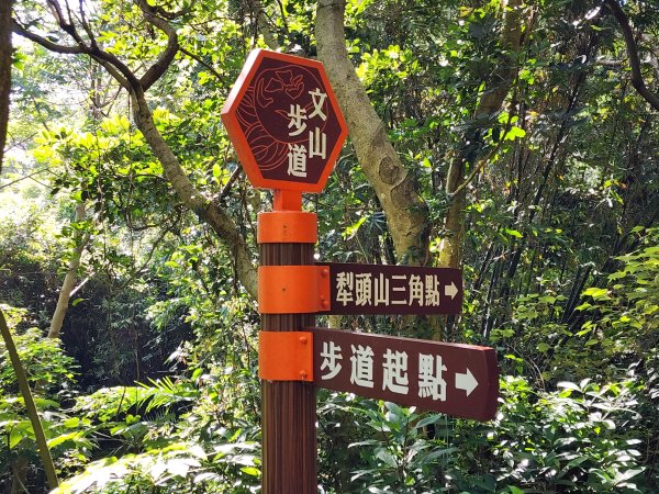 新竹新埔｜文山步道｜犁頭山2891104