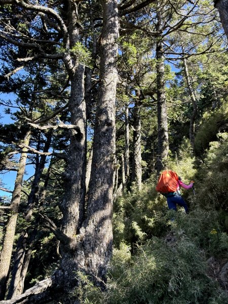 觀雲山莊經小完美谷上畢祿山O繞2917237