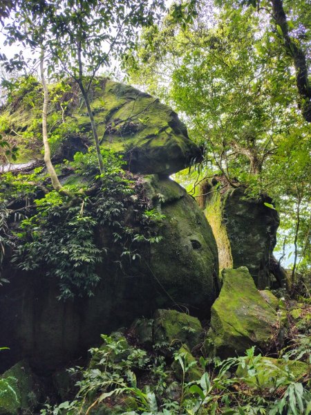 矢場谷山連走勃子山2805052