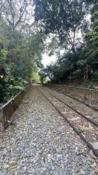 雲嘉連峰/青年嶺/水社寮2750457