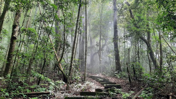 《雲林》望好望角｜石壁山嘉南雲峰步道(中側登山口）202506072805391