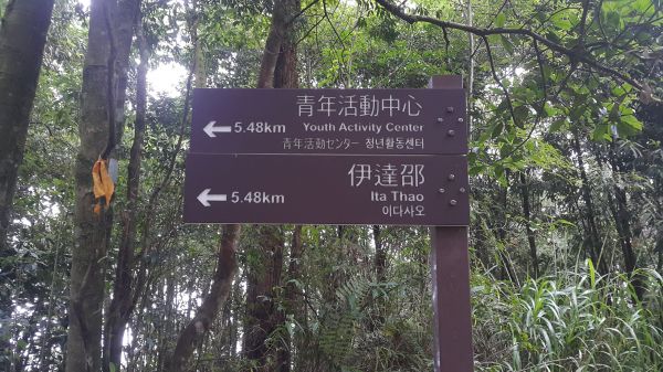 水社大山登山步道 2017 09 15166523