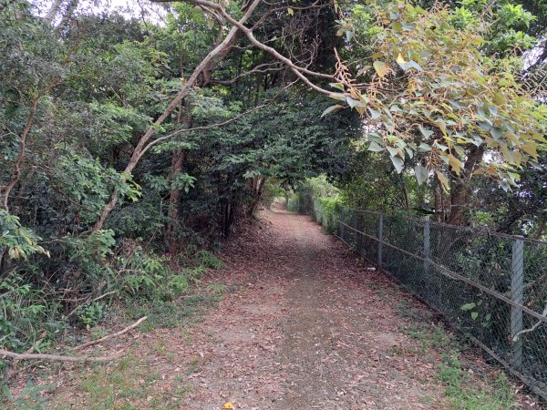 2026森遊竹縣：石光古道（老虎山步道）3107332
