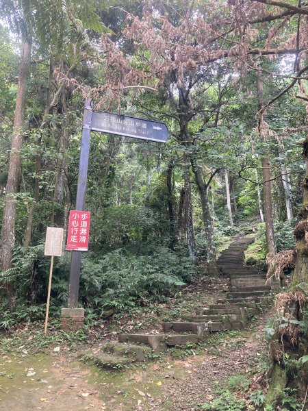 五指山橫向步道2569516