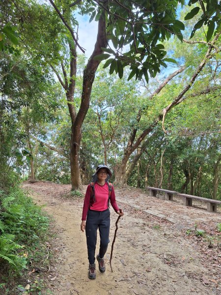 南化鈺鼎步道上糖子恩山+北峰202503152736896