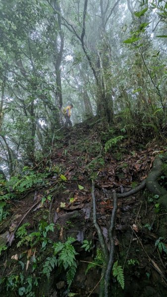 113.06.01魯壁山-東穗山之旅2529890