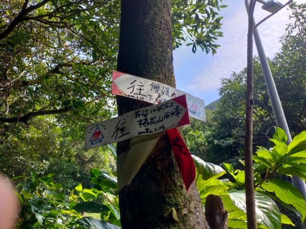 ［梅花四弄］（梅花山主，西，北，南峰）［雙溪山+內雙溪山+五指山西峰］［雙溪溝古道+石門嶺古道］2321809