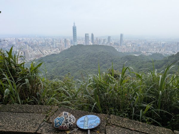 2025-06-08 臺北大縱走第六、七段2814193