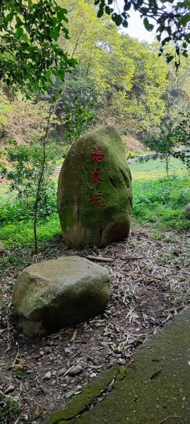 坑內坑森林步道2698776