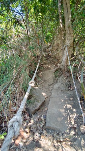 暗影山（酒桶山）台中小百岳2041988