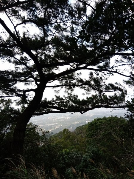 勞工中心連走清水坑山>石門山>小粗坑1318480