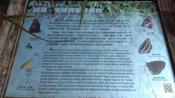 【臺北大縱走2】大屯山主峰、南峰、西峰914086