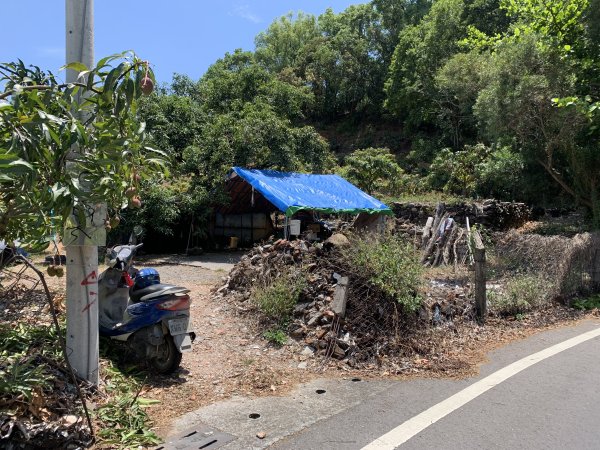 20250503屏東埔姜山東2781513