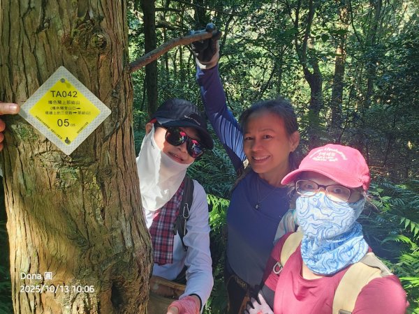 復興三尖老么之那結山1520m(嘎色鬧上)全紀錄2915479