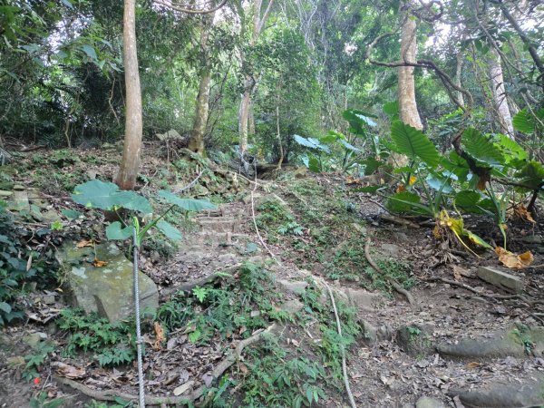 水雲三星～上島山（鳥嘴山）2931228