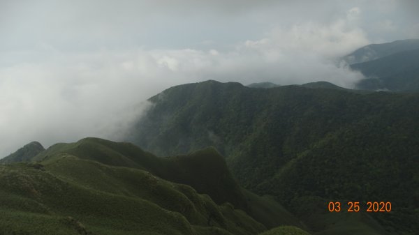 蒼天不負苦心人，再度陽明山雲海891436