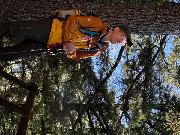 一日單攻桃山2903283