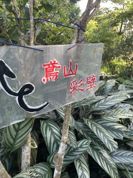 【鳶山山系】鳶山彩壁2858064