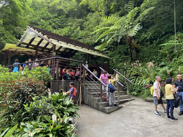 步道巡訪員 l 聖母登山步道五月份巡訪971128