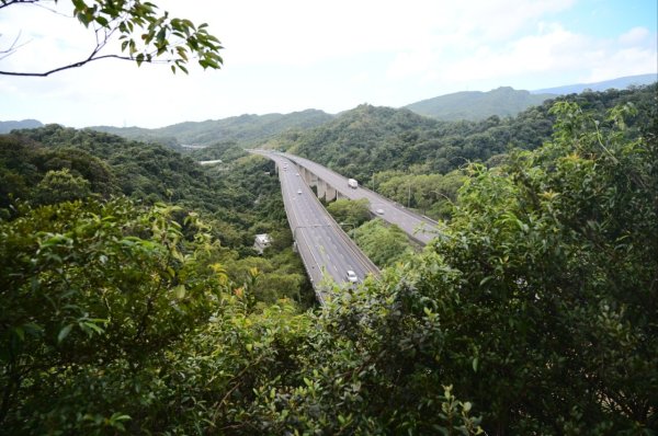 20241027下坡山-三合山-分水嶺主山南峰2636707